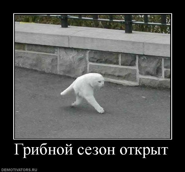 №10, Сергей, 38 лет №10, Сергей, 38 лет