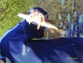 Рустем Лутфуллин фотография #45 (источник - https://vk.com/id8515565)