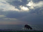 Фотография Slimsky Slim