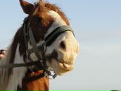 Фотография Хайбулаевой Юлии