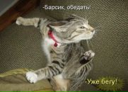 Дмитрий Недбайло фотография #25 (источник - https://vk.com/id1300758)