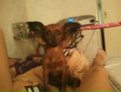 Фотография Ярешко Кариночки