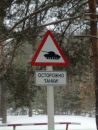 Фотография Раздуваева Андрея