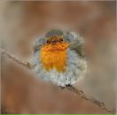 Фотография Воробьёвой Анастасии