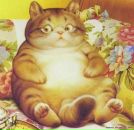 Фотография Тугаринова Василия