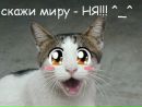 Софія Черняк фотография #45 (источник - https://vk.com/id170012257)