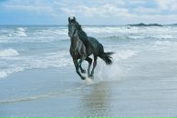 Фотография Конева Сергея