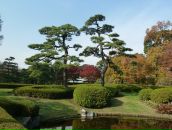 Фотография Валеевой Риммы