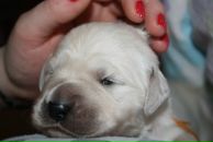 Фотография Мелиховой Юлии