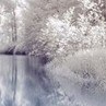 Любаша Гордість-Наша фотография #10 (источник - https://vk.com/id135352185)