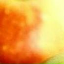 Елена Дмитриева фотография #18 (источник - https://vk.com/id485380)