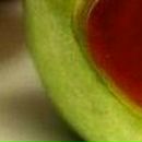 Елена Дмитриева фотография #6 (источник - https://vk.com/id485380)