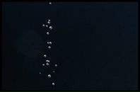 Віка Сивопляс фотография #9 (источник - https://vk.com/id125885607)