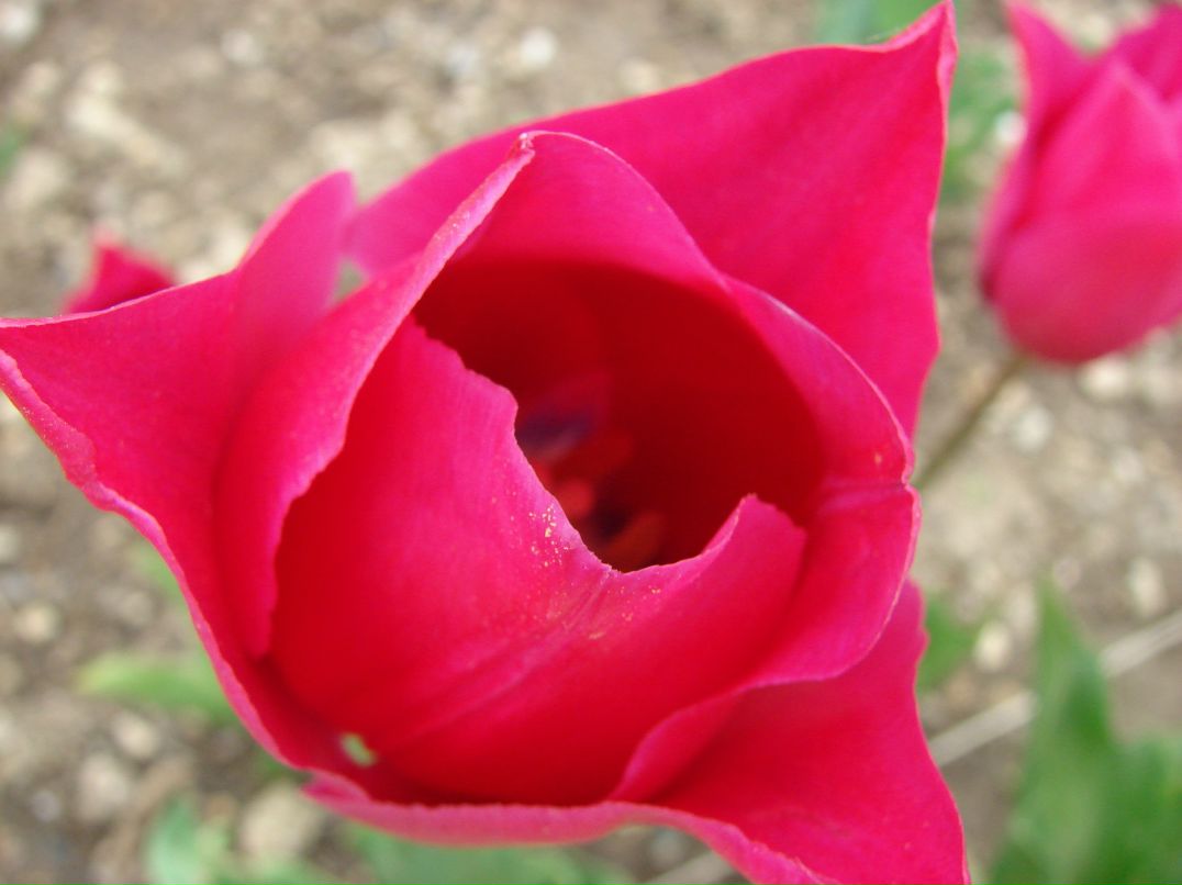 Константин Черников фотография #36