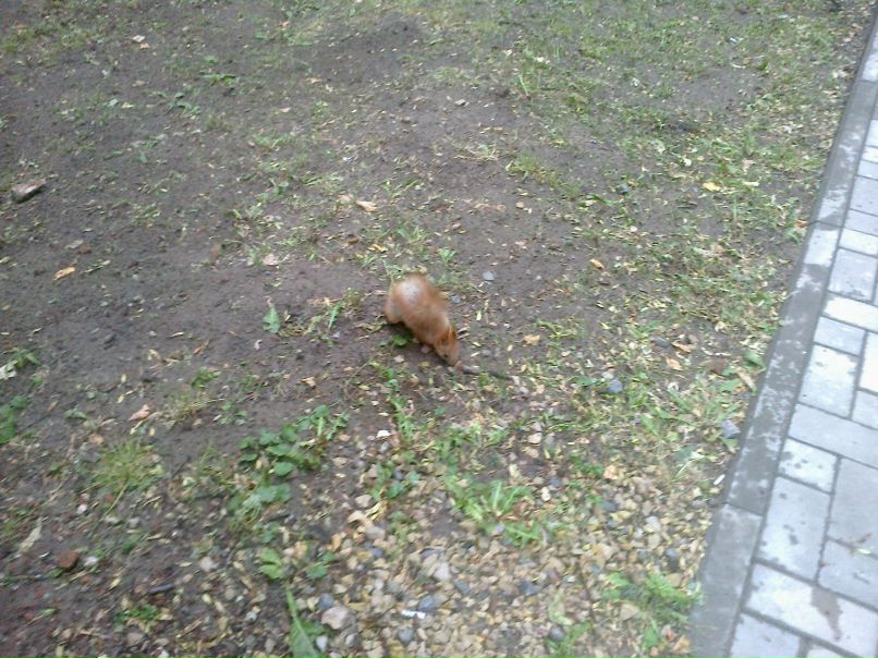 Андрей Макеенко фотография #50