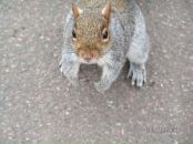 Фотография Нагорновой Оли