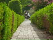 Наташа .... фотография #8 (источник - https://vk.com/id631785)