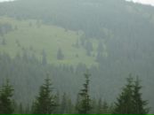 Віталік Ничая фотография #50 (источник - https://vk.com/id125678004)