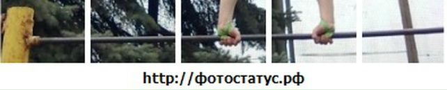 Тарас Павлентій фотография #31 (источник - https://vk.com/id24536500)