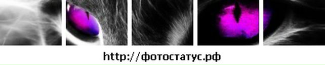 Аня Пилюкіна фотография #29 (источник - https://vk.com/id77501045)