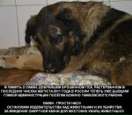 Фотография Перук Валентины