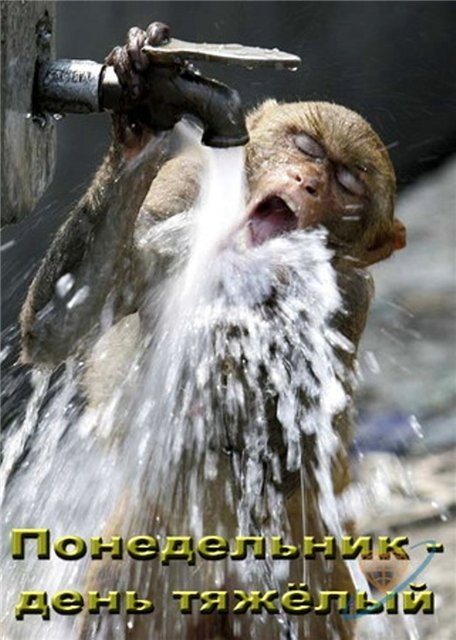 Оля Семенцова фотография #35