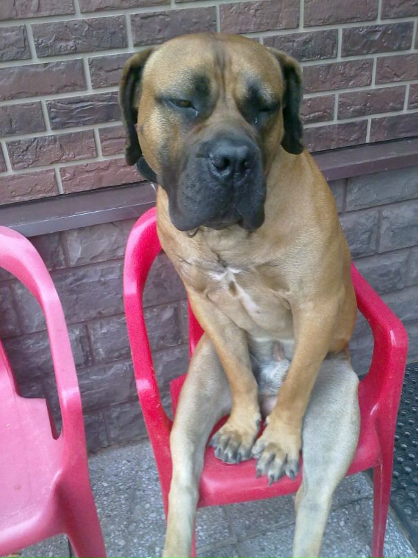 Макс Савельев фотография #40