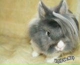 Віктор Пинда фотография #28 (источник - https://vk.com/id13722368)