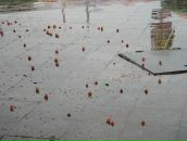 Фотография Хаустовой Светланы