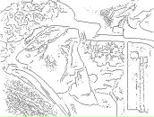 Фотография Климент Афелии