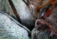 Антон Филь фотография #6 (источник - https://vk.com/id1657549)