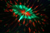 Антон Филь фотография #12 (источник - https://vk.com/id1657549)