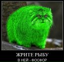 Фотография Оксана Лютая