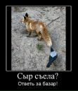 Игорь Темник фотография #18 (источник - https://vk.com/id96615668)