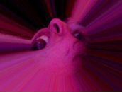 Фотография Галактики Гали