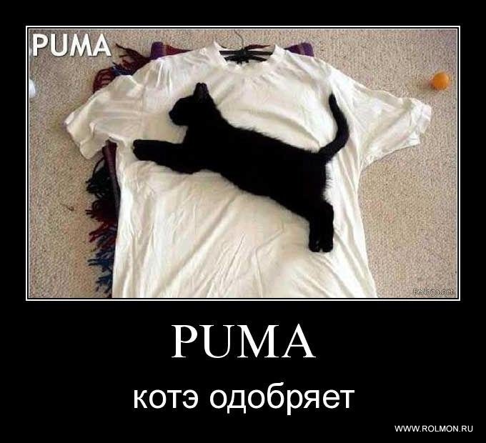 Сергей Глушаченко фотография #15