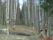 Фотография Плесанова Сергея