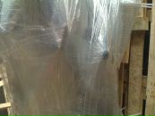 Дэн Собакарь фотография #36 (источник - https://vk.com/id5934169)