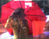 Фотография Костюченко Богдан