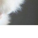 Надя Бабійчук фотография #18 (источник - https://vk.com/id147804112)