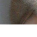 Надя Бабійчук фотография #11 (источник - https://vk.com/id147804112)