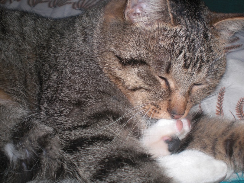 Иван Кудрявцев фотография #15