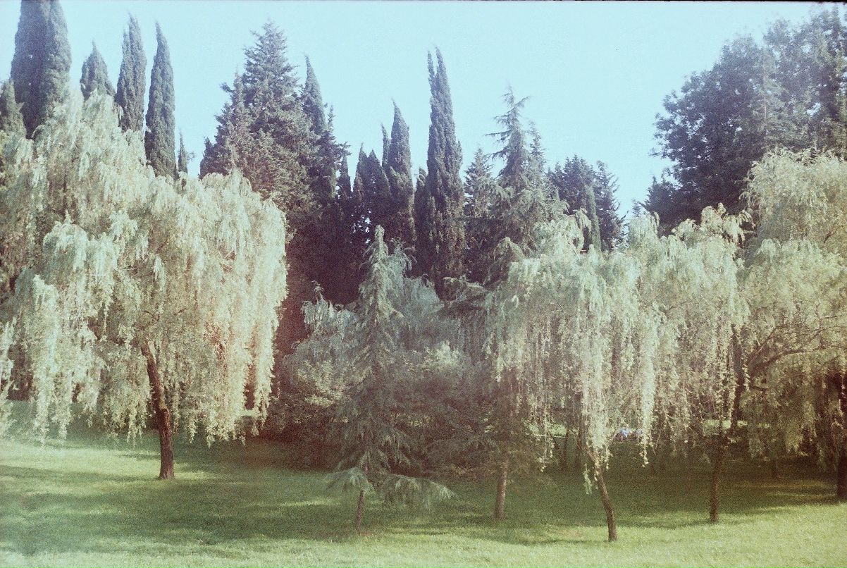 Ilya Superata фотография #22