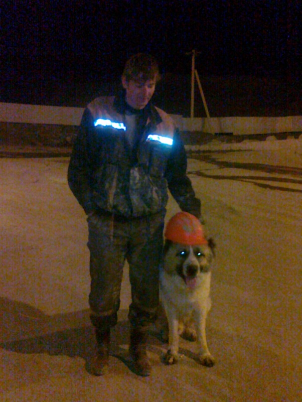 Константин Данкевич фотография #8