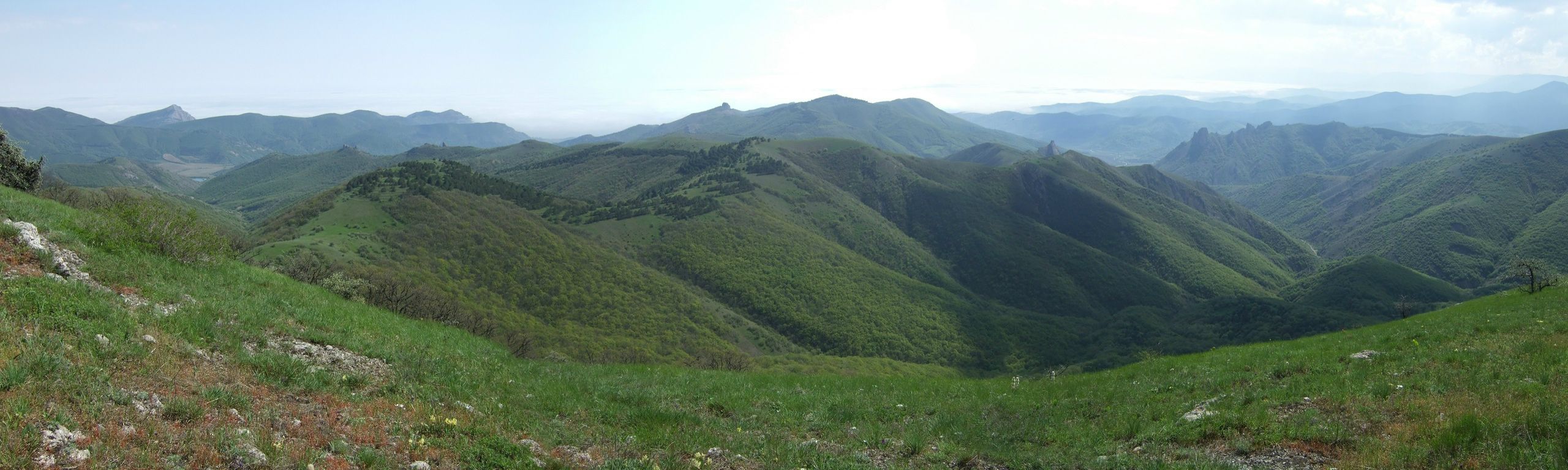 Ihawk Ihawk фотография #37