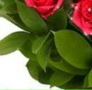 Сергій Макогін фотография #30 (источник - https://vk.com/id65412702)