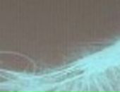 Андрей Перлов фотография #1