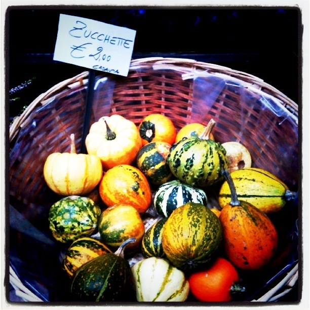 Al Ex фотография #10