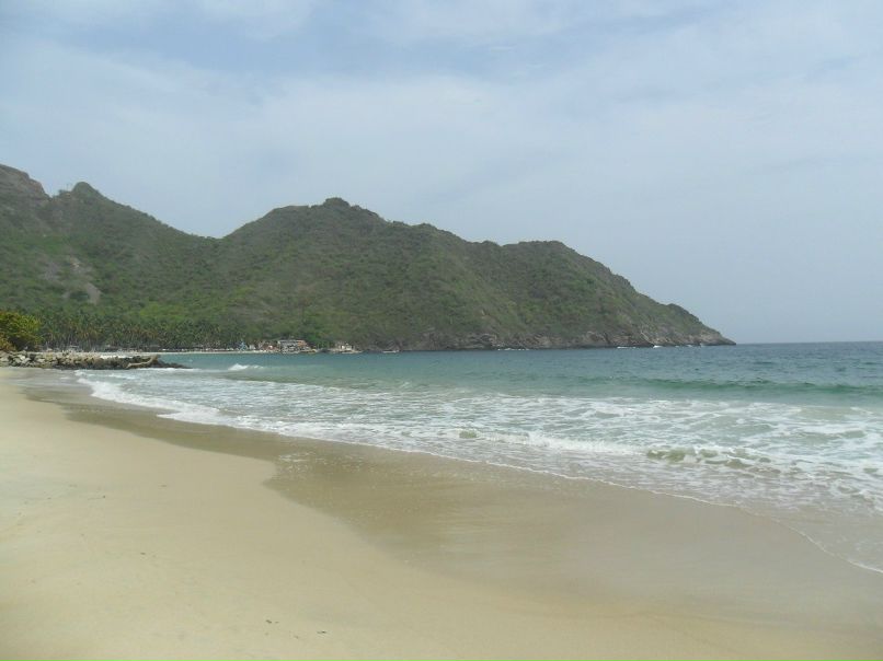 Дмитрий Данилькевич фотография #33