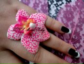 Фотография Иванов Андрей